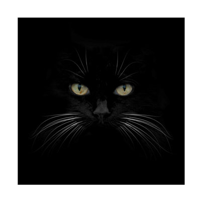 Art mural sur toile tendue - art mural «Black Cat Centered» par Lori Hutchison pour le salon, la chambre à coucher ou le bureau - 18 x 18