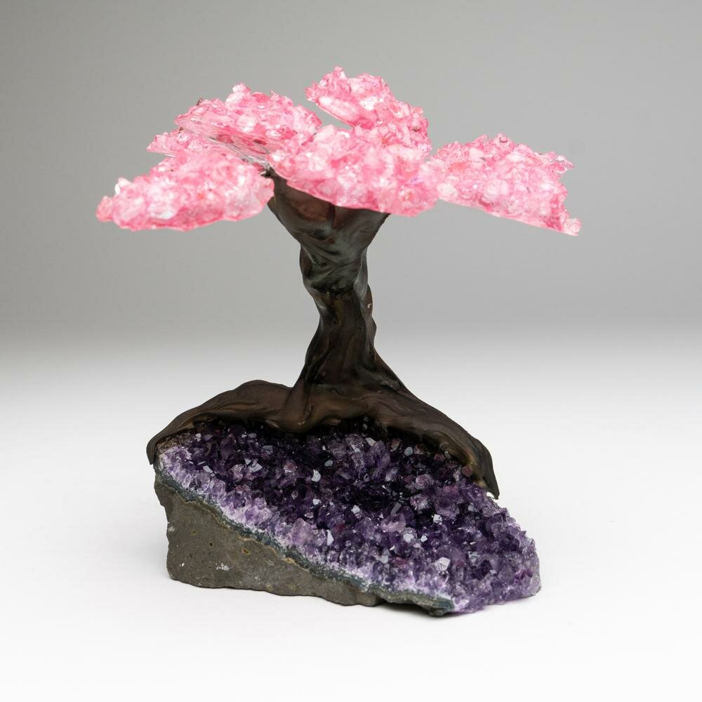 Astro Gallery of Gems Medium Genuine Rose Quartz Clustered Gemstone Tree on  Amethyst Matrix (The Love Tree) & Reviews