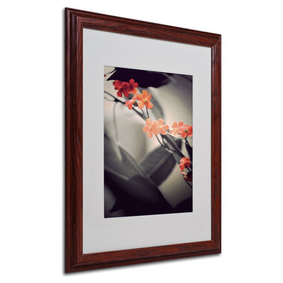 « doux gray 1 » par philippe sainte-laudy,, reproduction de photo encadrée