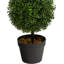 Topiaire de buis artificiel en pot-703098526