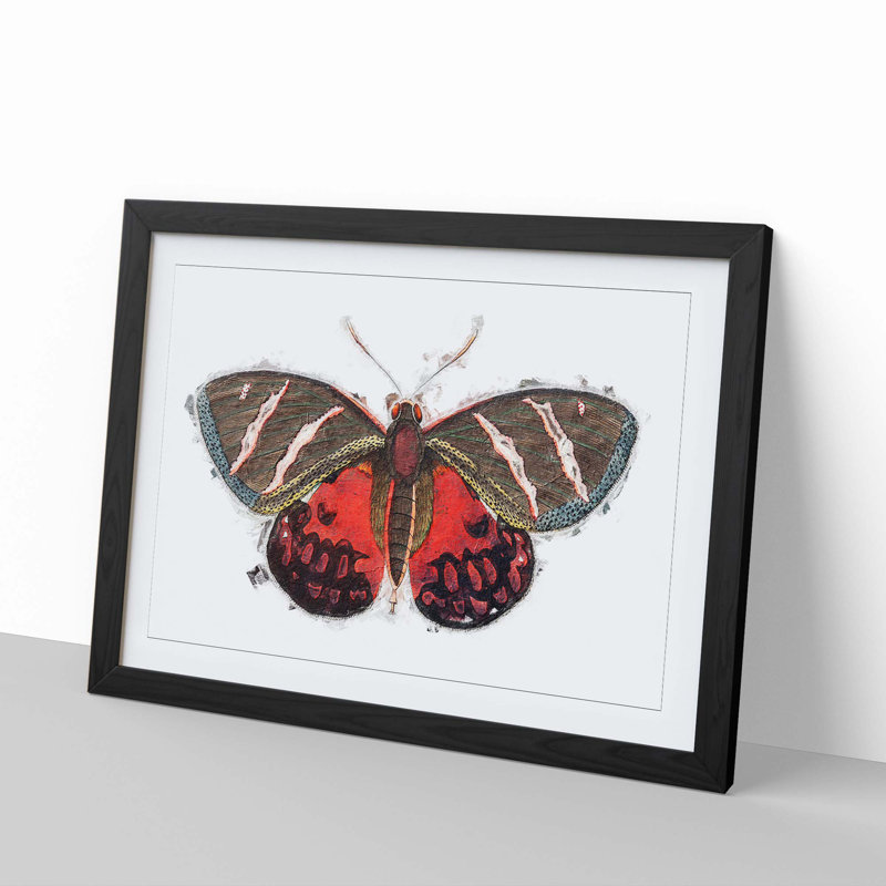 Icarus Moth by George Shaw - Framed Print, 48cm H x 65cm W x 2cm D, Black Framed