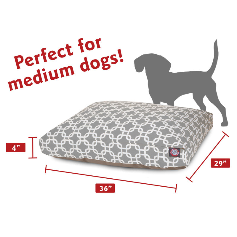 Coussin Links Orthopedic, Gris, Moyen (l 29 po x P 36 po x H 5 po) ;