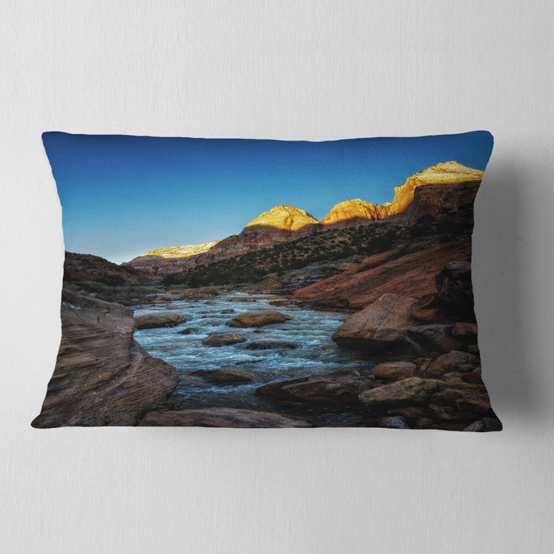 Coussin Schafer Designart