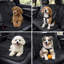 Pet Seat Cover