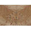 Antique 20Th Century Hooked Rug In Gold With Floral Wreath Design - Rug & Kilim