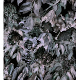 Hydrangea Garden