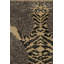 One-of-a-Kind Rectangle 2' X 3' Hand Knotted Area Rug