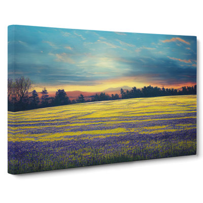 Entrancing Bluebell Field Sunrise - Wrapped Canvas