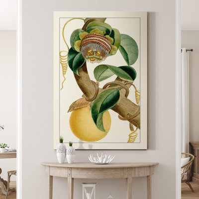 " Turpin Exotic Botanical VII "