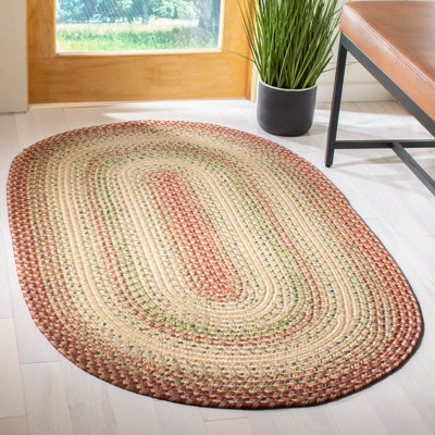 Georgina Geometric Braided Rust/Orange Area Rug