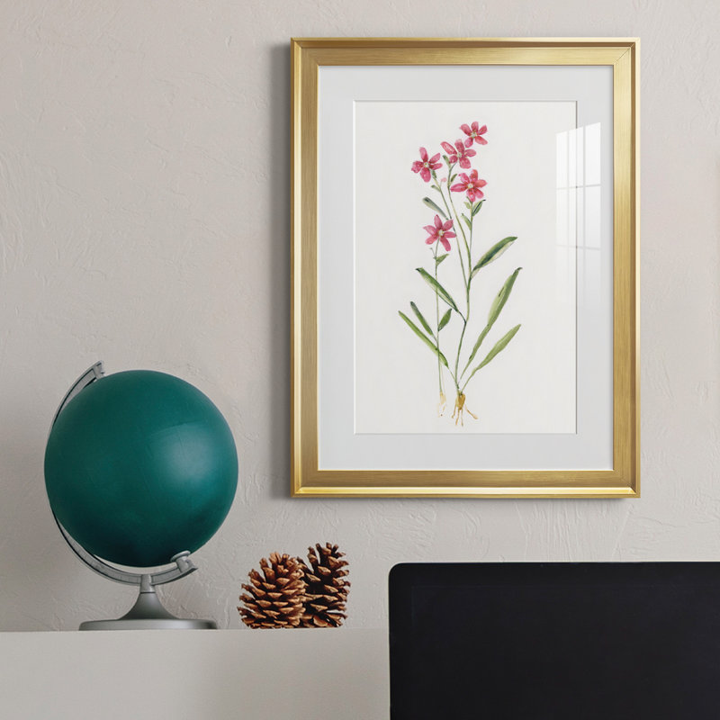 Delicate Pink II - peinture encadrée, Or, H 22,5 po x l 30,5 po x P 1,5 po