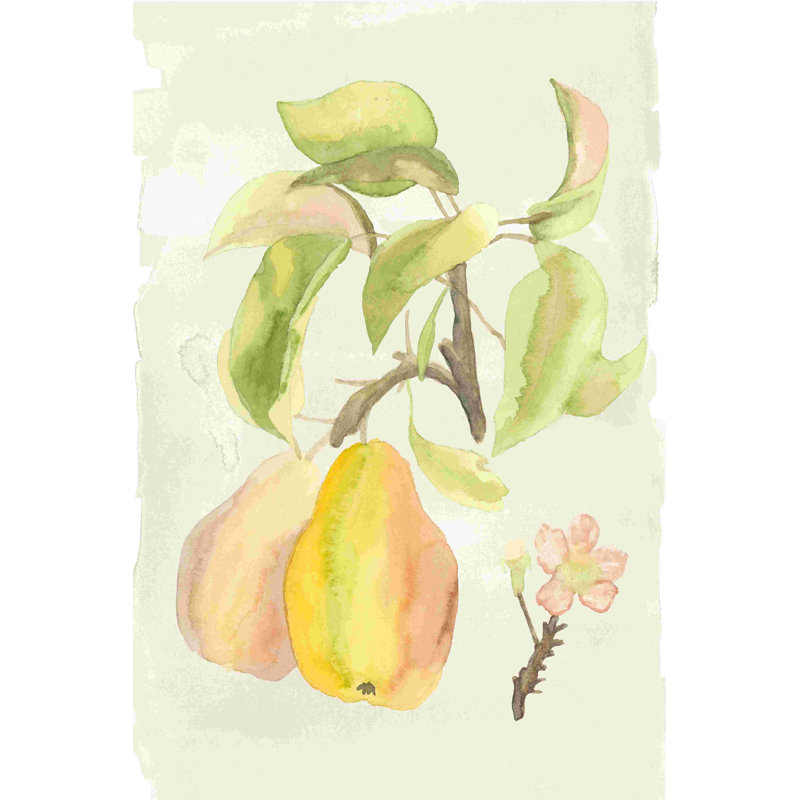 Aquarelle de fruits III, H 18 po x l 12 po