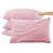 Rose est en rupture de stock