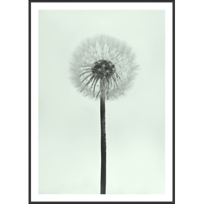 Single Picture Frame Print