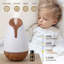 Diffuseur d'huiles essentielles avec fonction d'humidificateur