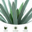 Plante d'agave artificielle gris-vert de 45 cm avec pot noir, fausse plante de yucca tropicale réaliste, agave artificielle protégée contre les UV pour la décoration intérieure et extérieure-425886001