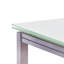 Brisco Extendable Rectangular Glass Top Dining Table-560481723-609968374