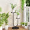 Support pour plante d'intérieur en forme de U à 2 niveaux - Support à fleurs en métal noir de 17,7 po de hauteur