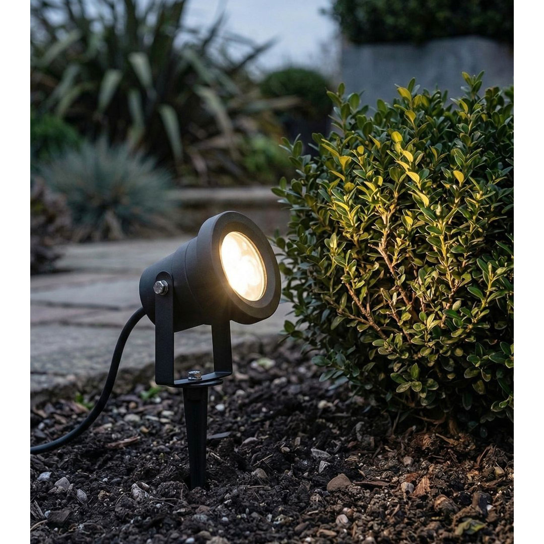 Black Integrated LED Metal Spot Light