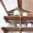 Urban Greenhouse with Cedar Wood Frame and Polycarbonate Panels Compact Modern Design for Small Spaces
