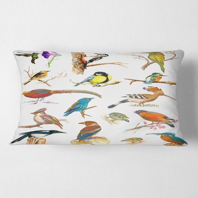 Vibrant Coloured Birds Plancard Animal Print Lumbar Pillow