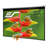 Elite Screens Manual Projector Screen Projector Screen-94128974