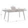 Jagveer Extendable Solid Wood Base Dining Table