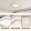 LED Flush Mount