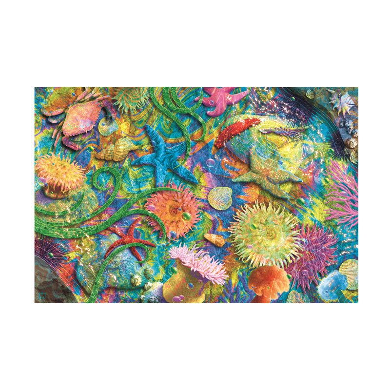 Michael David Ward Tide Pool 2 Canvas Art, 16" H x 24" W