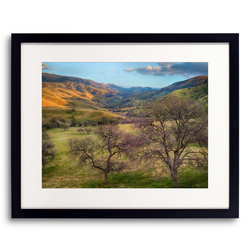 Cusp Of Spring Print by Harold Davis, Black Framed Paper, 16" H x 20" W