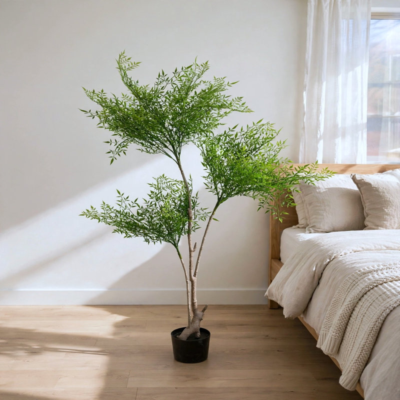 Arbre de bambou céleste 5,5 pi avec folioles vert vif et tronc fourchu naturel dans un pot de fleurs noir