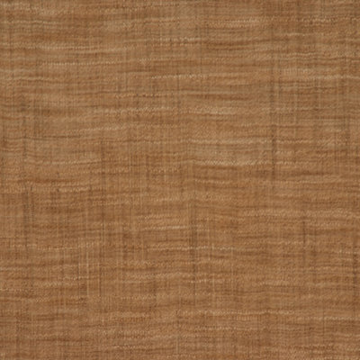 Latitude Fabric