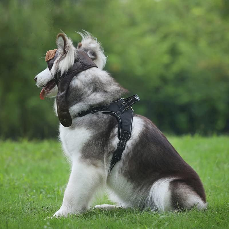 Chapeau d'aviateur pour chien avec cache-oreilles, 18,9 pouces, Brun