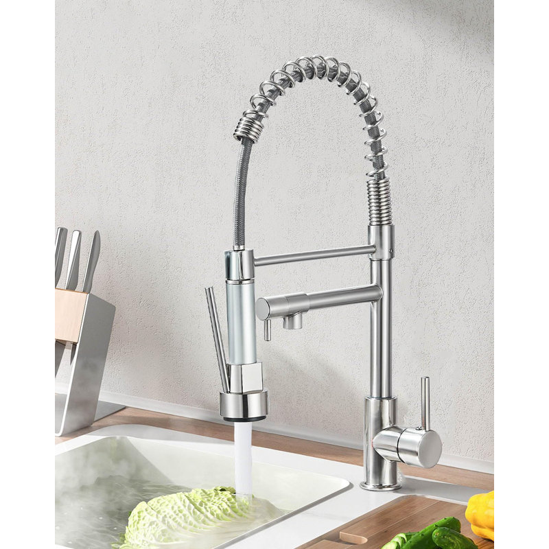 Arlennart High Pressure Kitchen Faucet, Telescopic Hand Shower, 360° Swivel Faucet, One Handle Pull-Out Faucet (Brushed)