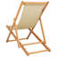 Beach Chair-1651203045