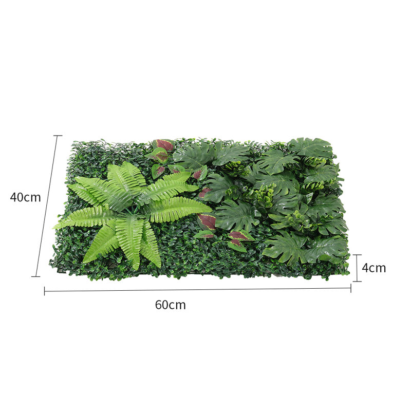 60cm Plant