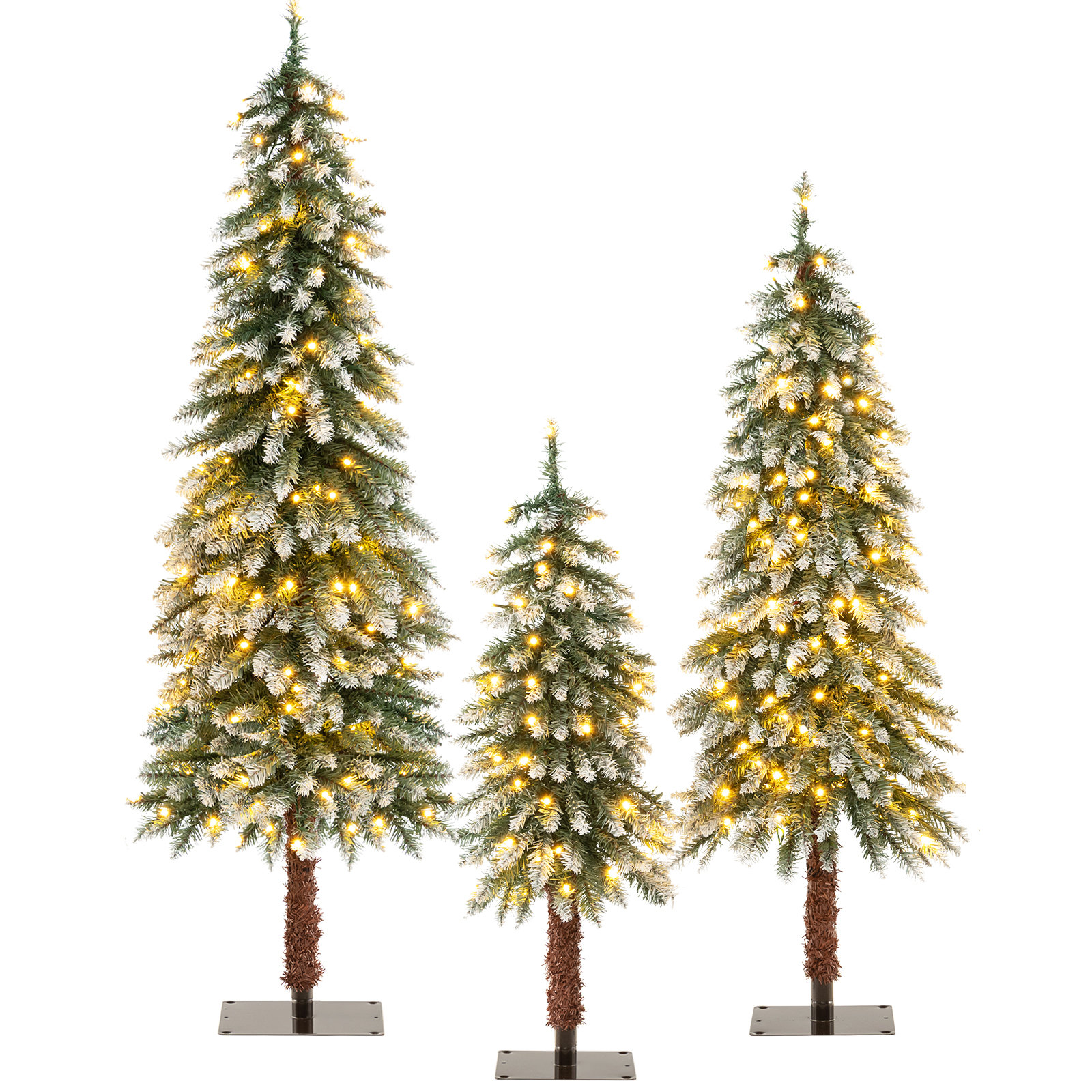 The Holiday Aisle® 60' Lighted Pine Christmas Tree Wayfair