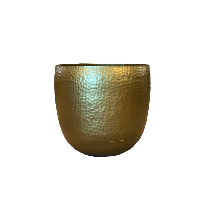Lesedi Steel Log Carrier
