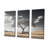 Solitude Bench Under A Monochrome Tree - Meadow Wall Art Print Set-107740634