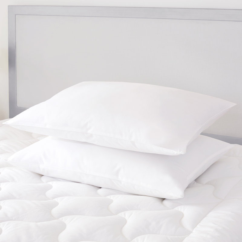 White Hypoallergenic Oversized Euro Pillow Pair