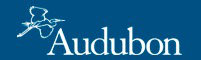 Logo Audubon
