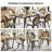 Dionisio 19.5W Mid-Century Modern Rattan Accents Dinning Chair With Solid Wood Legs Set Of 2-117456682