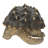 Animals Weather Resistant Water Resistant UV Resistant Polyresin Garden Statue