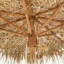 Beach Parasol