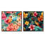 Ensemble de 2 tropiques tropiques-101864665-101864666