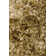 Petrina Performance Indoor Rug