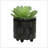 S/2 6/8" TEXTURED PLANTERS-797770230