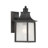 Monte Grande 1-Light Outdoor Wall Lantern in Bronze-112171073
