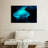 Moon Jellyfish-107961252