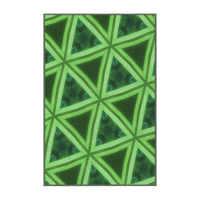 Indoor Rug